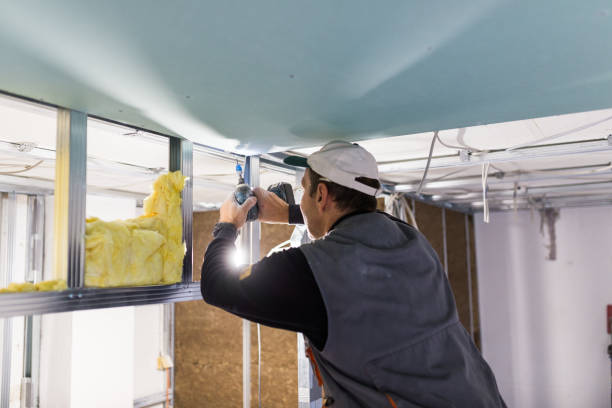Best Home Insulation Services  in Kaser, NY