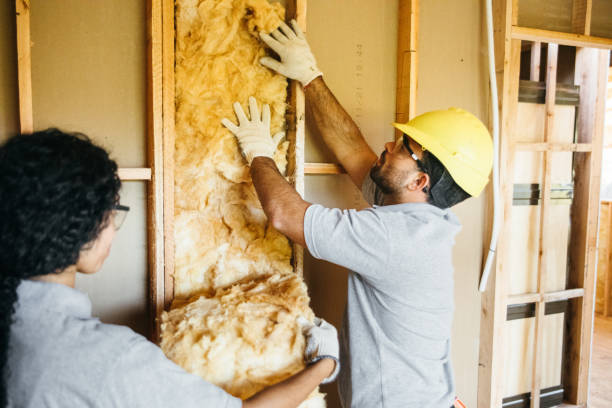 Best Cellulose Insulation  in Kaser, NY