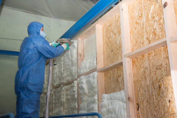 Best Insulation Contractors for Homes  in Kaser, NY