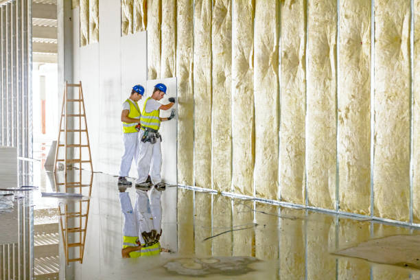 Best Professional Insulation Contractor  in Kaser, NY